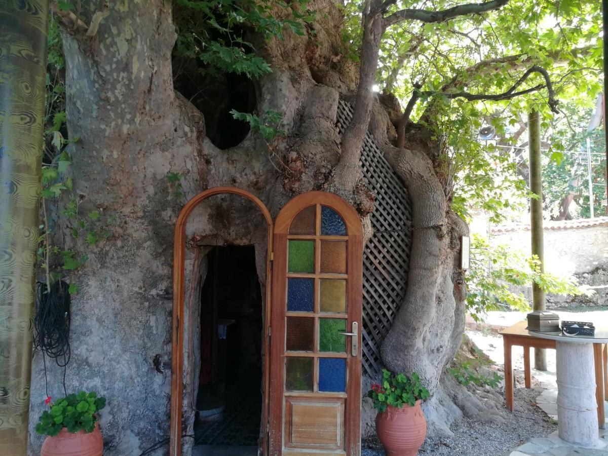Plataniotissa Mansion Villa Kalavryta Bagian luar foto