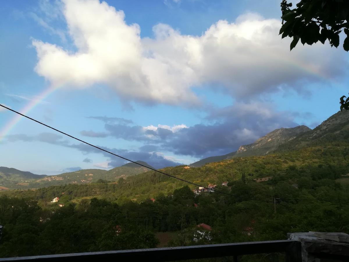 Plataniotissa Mansion Villa Kalavryta Bagian luar foto